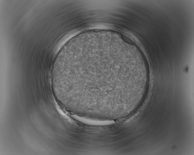 X0000115311433200911301525