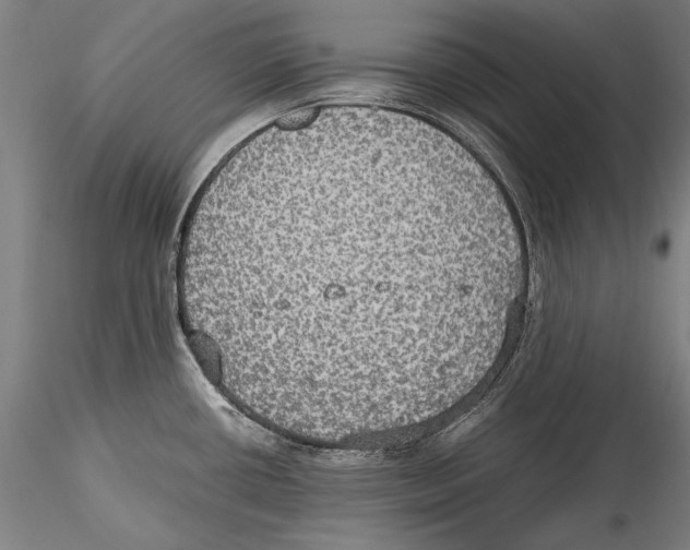 X0000115311434200911301525