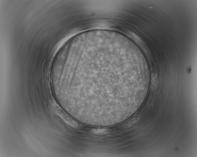 X0000115311435200911301525