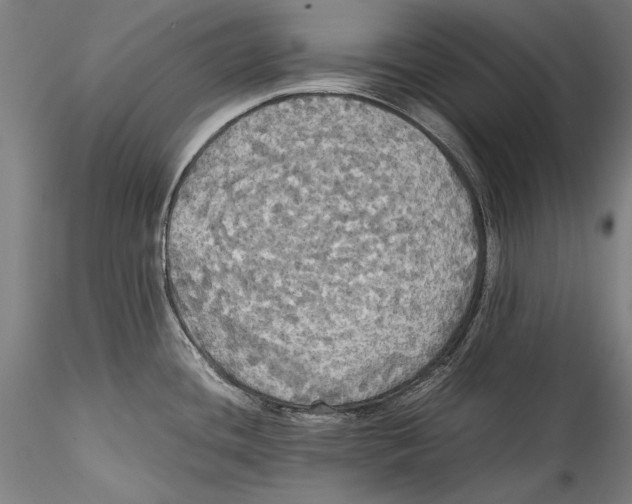 X0000115311436200911301525