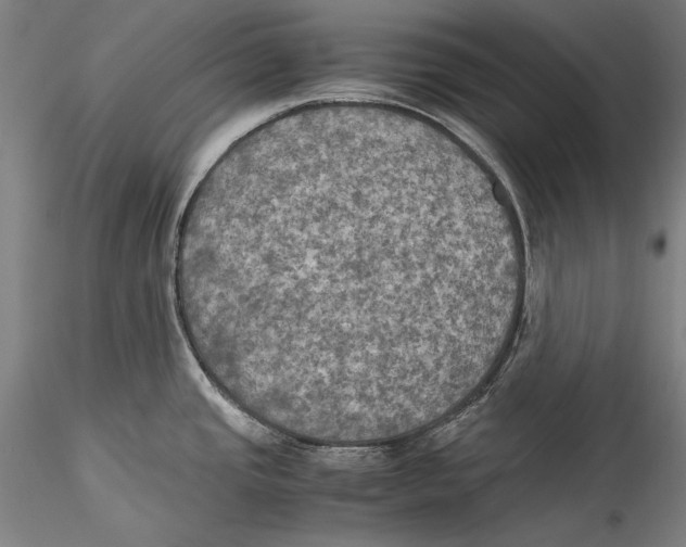 X0000115311437200911301525