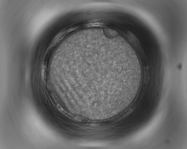 X0000115311438200911301525