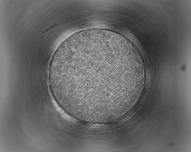 X0000115311439200911301525