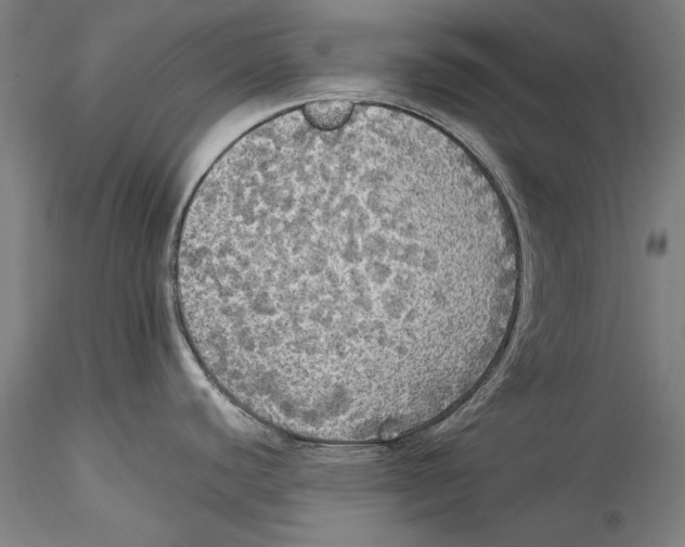 X0000115311440200911301525