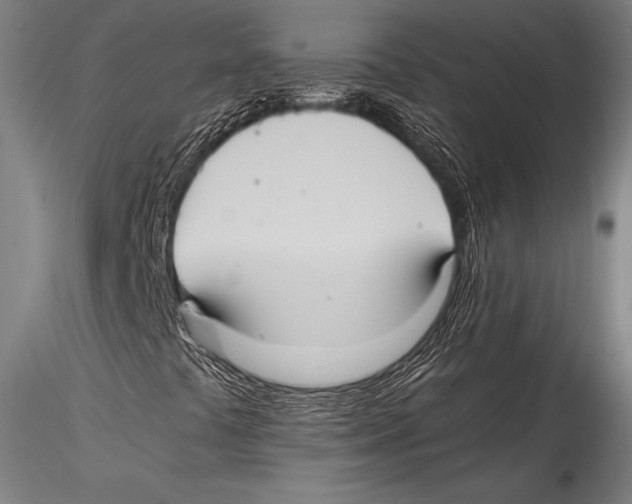 X0000115311441200911301525