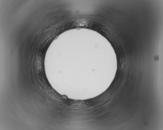 X0000115311442200911301525