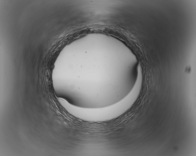 X0000115311445200911301525