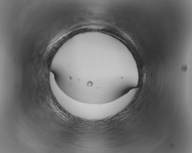 X0000115311448200911301525