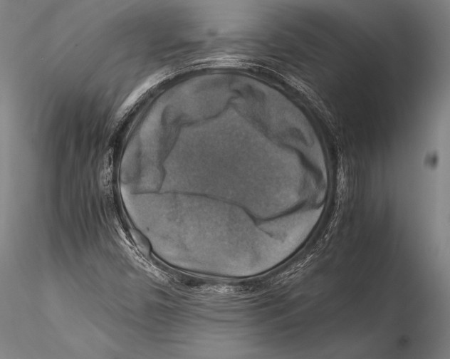 X0000115311450200911301525