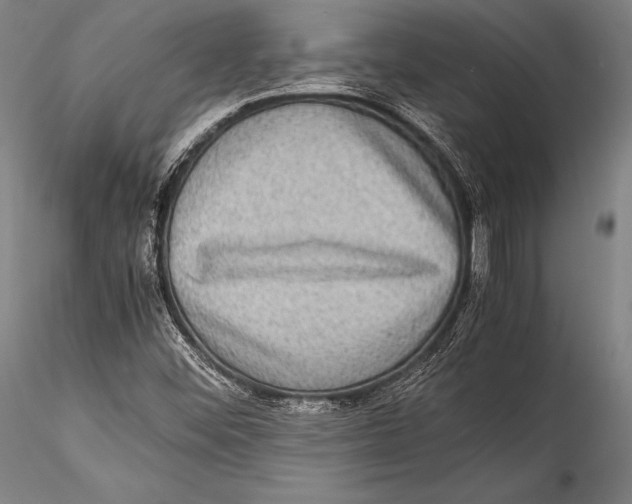 X0000115311452200911301525