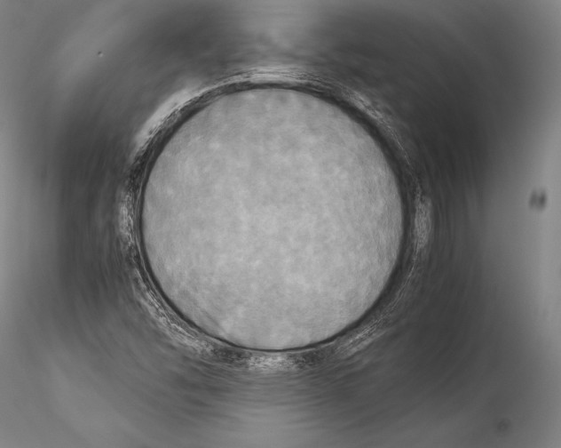 X0000115311454200911301525