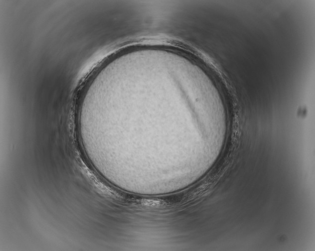 X0000115311456200911301525