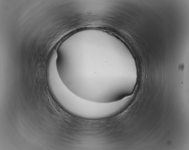 X0000115311457200911301525