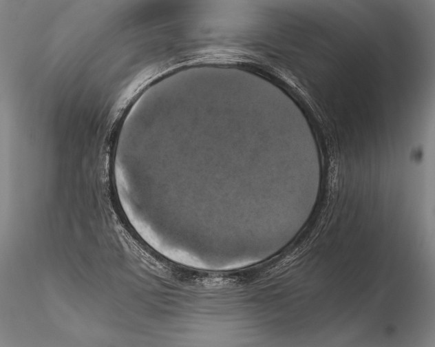 X0000115311459200911301524