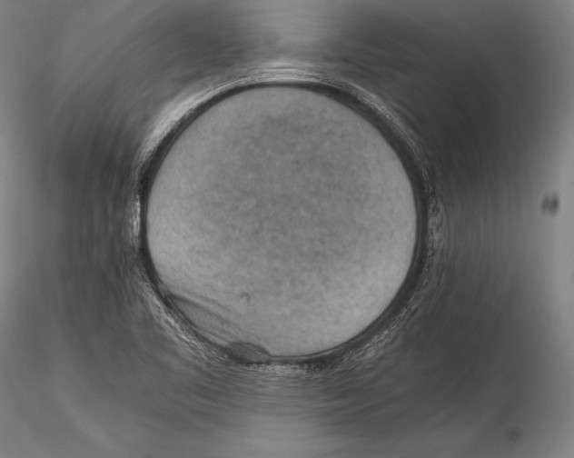 X0000115311461200911301524