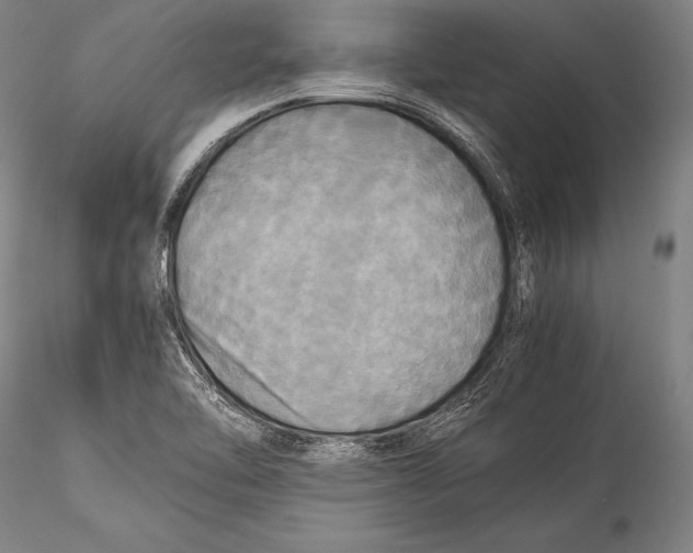 X0000115311462200911301524