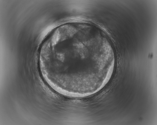 X0000115311463200911301524