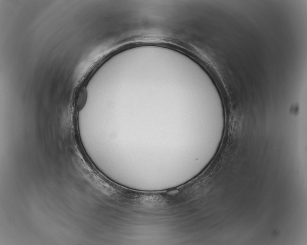 X0000115311464200911301524