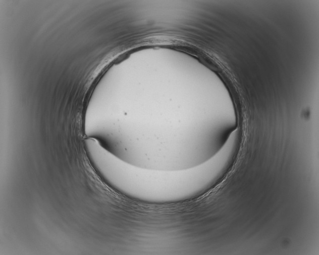 X0000115311465200911301524