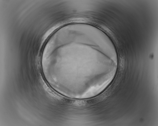 X0000115311466200911301524