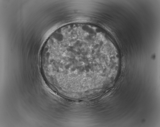 X0000115311467200911301524