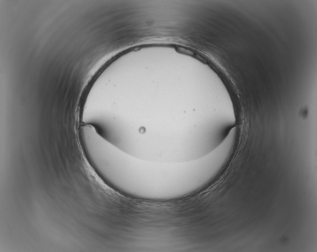 X0000115311468200911301524