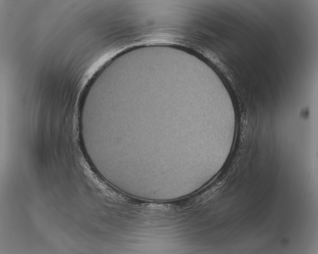 X0000115311469200911301524