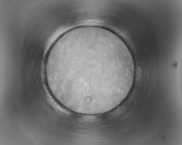 X0000115311470200911301524