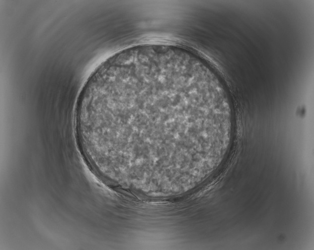 X0000115311471200911301524