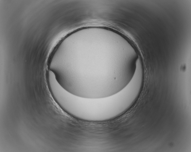 X0000115311472200911301524