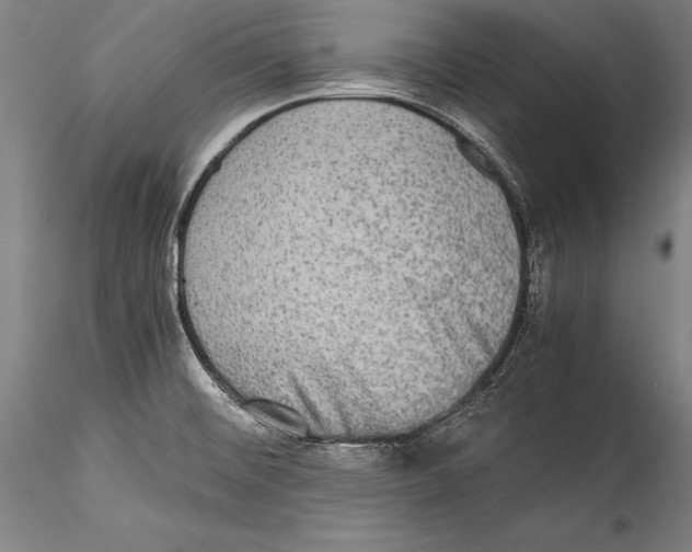 X0000115311476200911301524