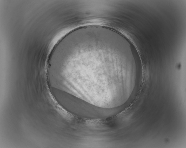 X0000115311477200911301524