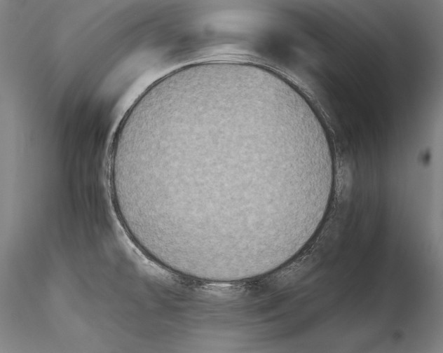 X0000115311478200911301524