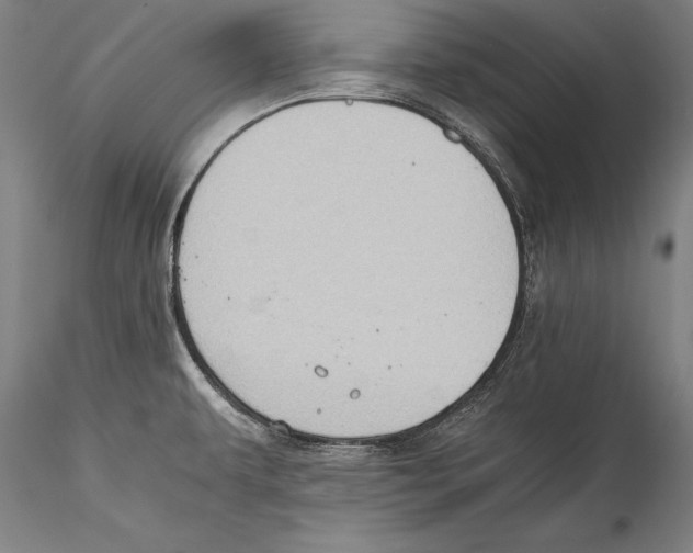 X0000115311479200911301524