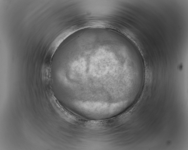 X0000115311481200911301524