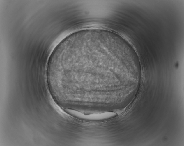 X0000115311482200911301524