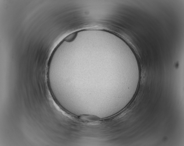 X0000115311484200911301524