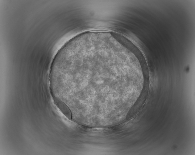 X0000115311485200911301524