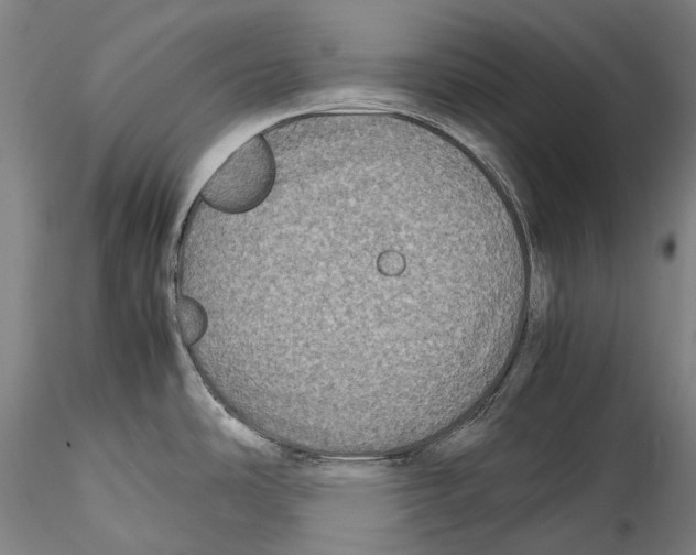 X0000115311486200911301524