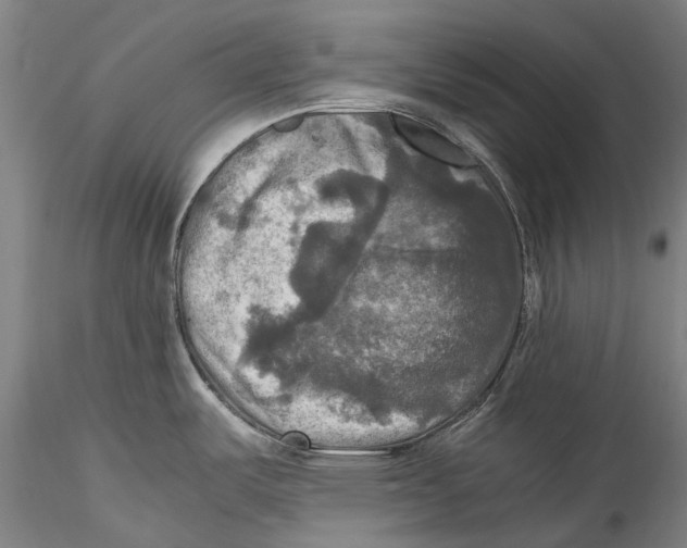 X0000115311487200911301524