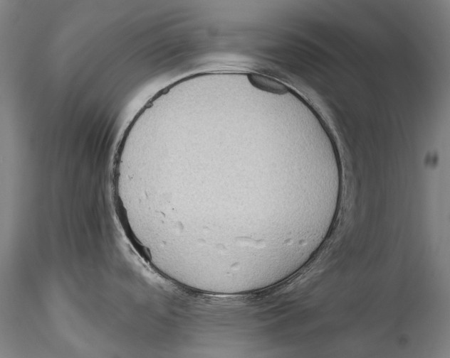 X0000115311488200911301524