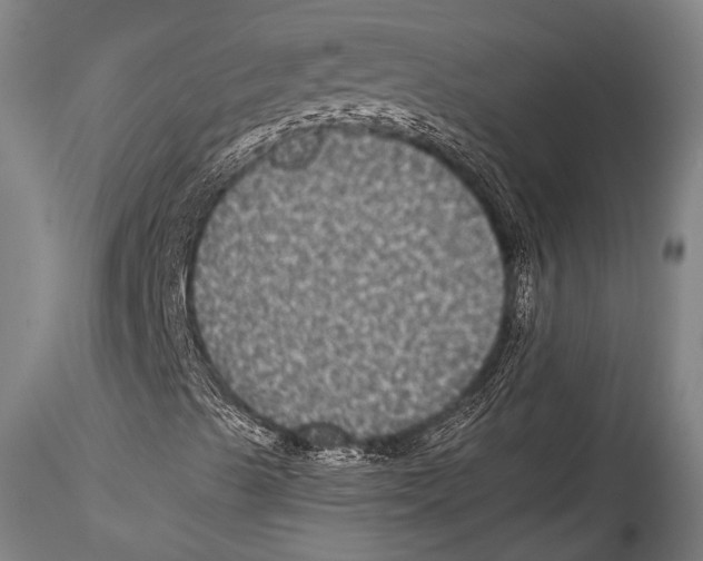 X0000115311489200911301523