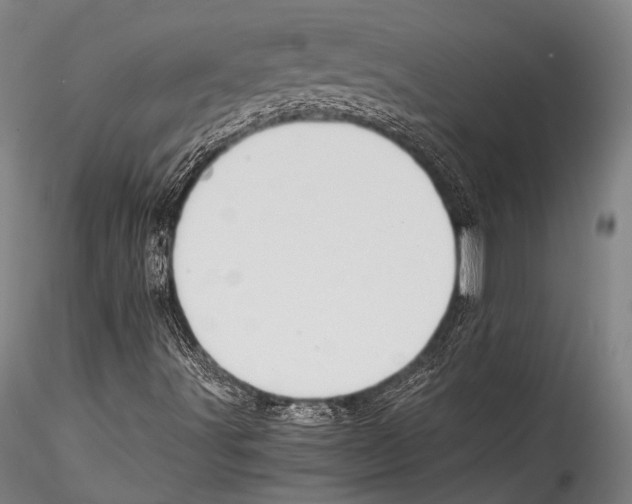 X0000115311491200911301523