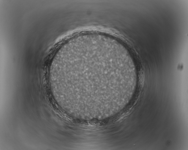 X0000115311494200911301523