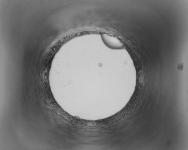 X0000115311495200911301524