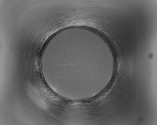 X0000115311497200911301524