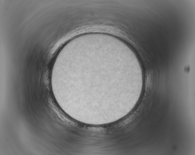 X0000115311498200911301524