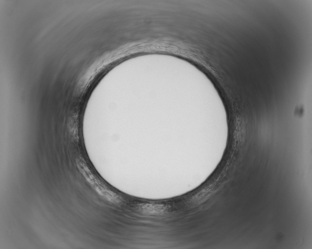 X0000115311499200911301524