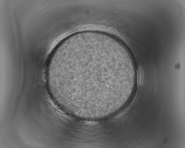 X0000115311501200911301524