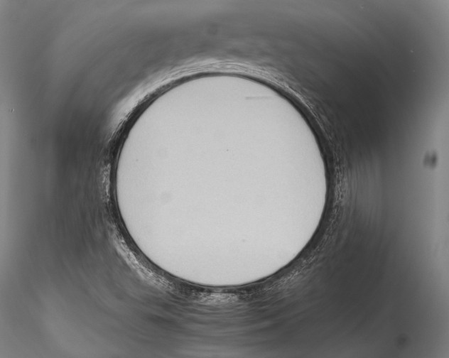 X0000115311503200911301524